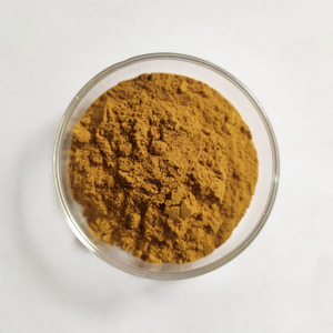 Salvia Miltiorrhiza-extract Salvianolzuur B7% (HPLC) Daiclzein 5%