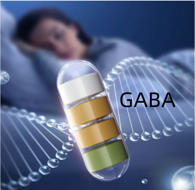 γ－aminoboterzuur (GABA)