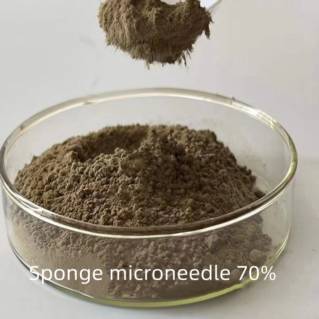 Sponsmicronaadles