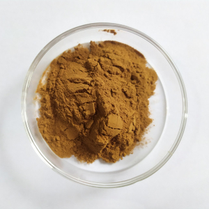 Ganoderma Lucidum-extract Ganoderma