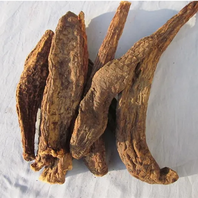 Kruiden cistanches extract Verbascoside echinacoside