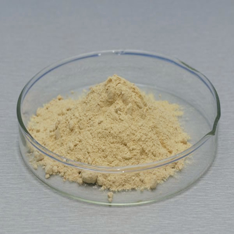 Ginseng-extract